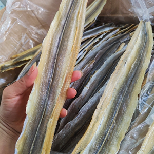 北海海味干貨價(jià)格動(dòng)態(tài)與批發(fā)指南
