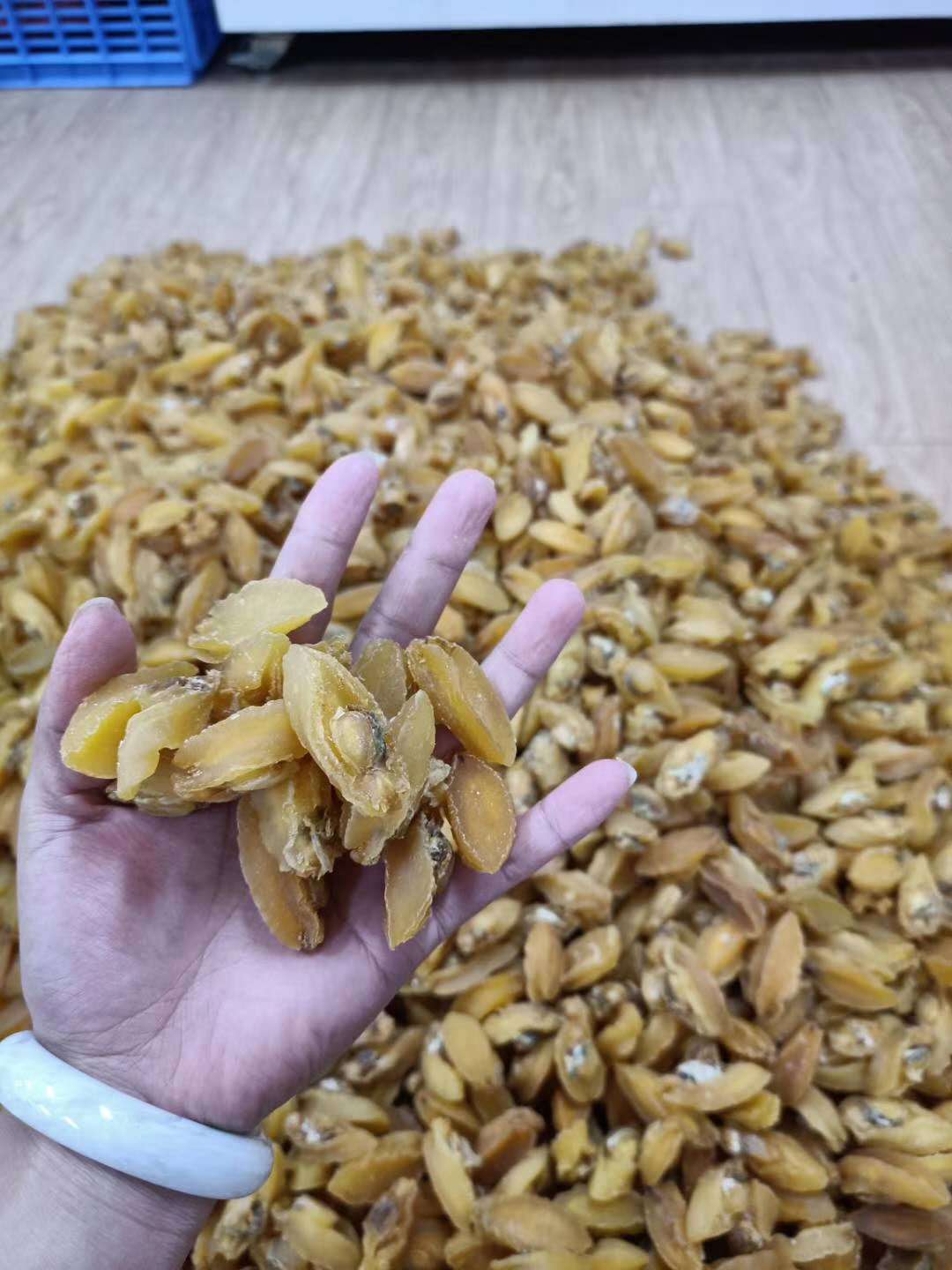 昌升新鮮金絲鮑魚(yú) 營(yíng)養(yǎng)豐富的海味干貨批發(fā)優(yōu)選