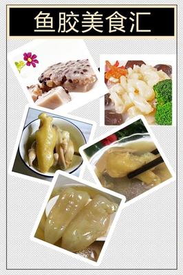 非洲野生開(kāi)邊黃花膠 產(chǎn)地直銷，品質(zhì)保證