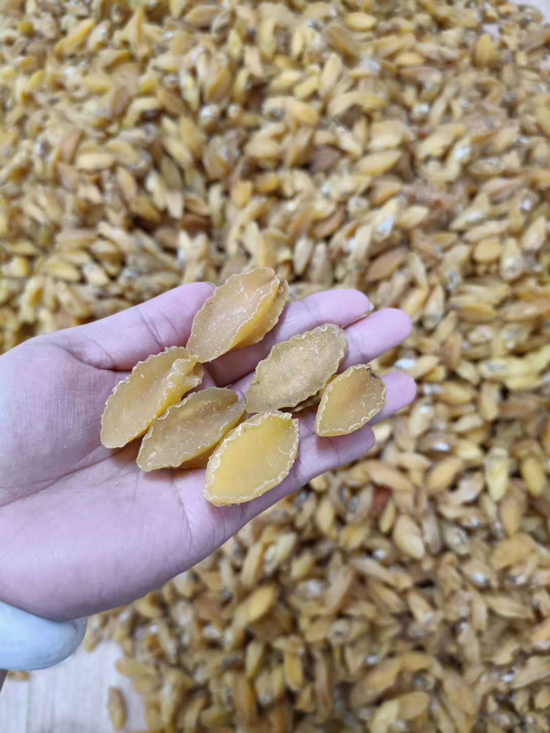 營養(yǎng)豐富，源頭直供——昌升新鮮金絲鮑魚與海味干貨批發(fā)