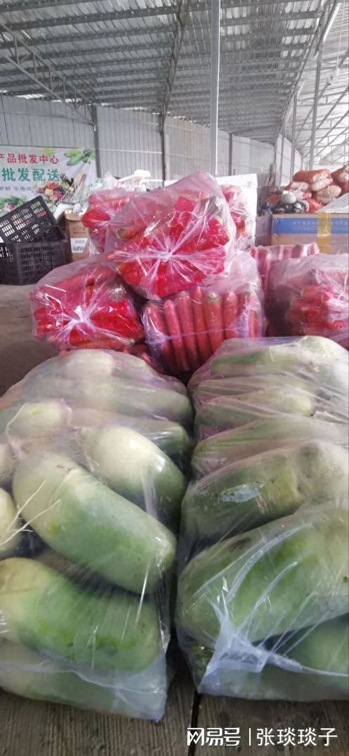 一份厚禮 南充嘉陵頭洞橋農(nóng)產(chǎn)品批發(fā)中心國(guó)慶試營(yíng)業(yè)，開(kāi)啟海味干貨批發(fā)新篇章