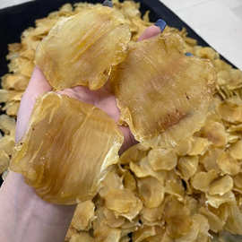 深海臻品，滋補(bǔ)圣味 嘴鳘魚(yú)膠與紅雞赤的味蕾饕宴