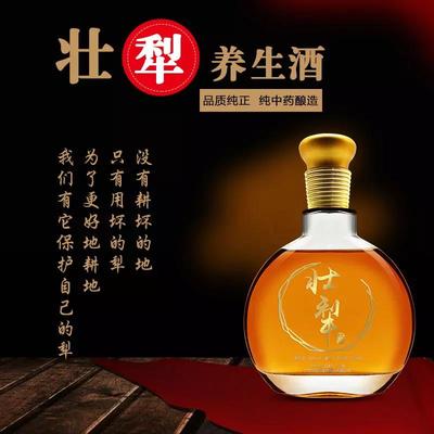 品鑒壯犁養生酒 500ml的醇厚與健康之道