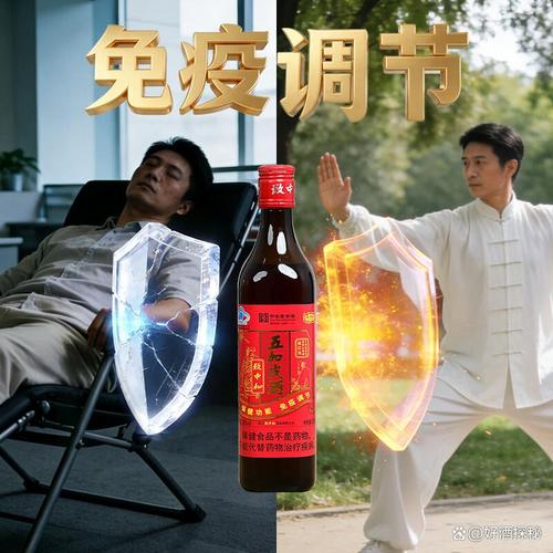 養生酒品牌高性價比推薦 找到健康與美味的完美結合